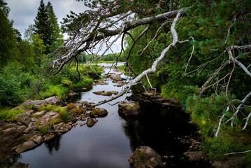 Poster - Scenic view of Koitelinkoski outdoor recreation area in Oulu, Finland