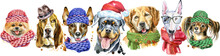 Cute Border From Watercolor Portraits Of Dogs. For T-shirt Graphics. Watercolor Dogs Illustration