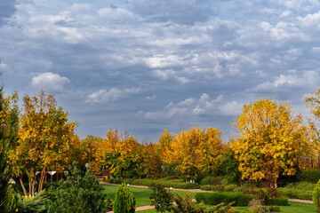 overcast sky above the park. the beauty of nature.