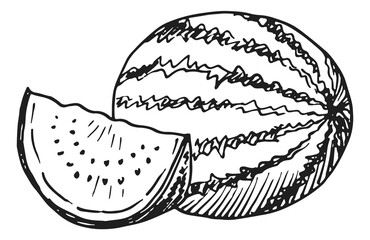 Sticker - Watermelon with slice. Hand drawn fresh summer fruit