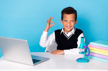 Portrait of cheerful smart schoolboy demonstrate okey symbol isolated on blue color background