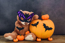 クマとカボチャのハロウィン 無料画像 - Public Domain Pictures