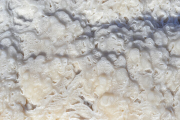 Wall Mural - Close up of salt background. Natural salt. Dead Sea salt mineral natural formations. Salt crystals from Dead sea. View of Dead Sea coastline. Texture of Dead sea. Salty seashore rocks