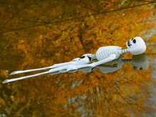 Halloween - Skeleton Floating On The Lake