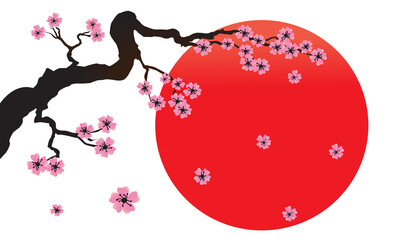 Wall Mural - ppng. blossoming sakura branch, sun set - japan symbol isolated on transparent. png illustration
