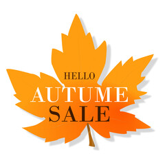 Wall Mural - png hello autumn orange maple leaf isolated on transparent background. png illustration