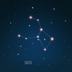 Wall Mural - vector illustration crater constellation. tree branches, dark blue starry sky, cosmos. illustration 
