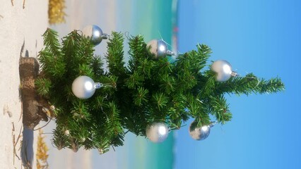 Wall Mural - Christmas fir tree on sandy beach. Tropical New year celebration. Nobody. Vertical footage