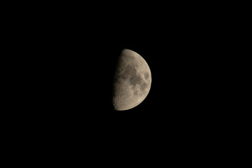 Wall Mural - first quarter moon half in shadow