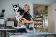 © Fxquadro - Photo of siberian husky doggy and its female owner working in veterinary clinic.