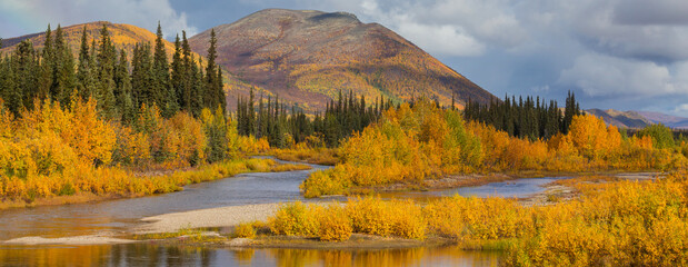 Canvas Print - Autumn in polar tundra