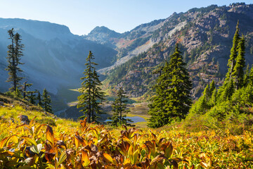 Canvas Print - Autumn mountains