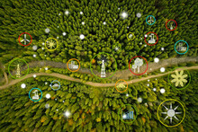 Digital Icons Of Sustainable Development Goals And View Of Beautiful Forest