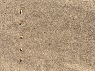 Aufkleber - five cigarette butts arranged as bullet points in sand on beach
