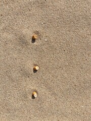 Aufkleber - three cigarette butts arranged as bullet points in sand on beach