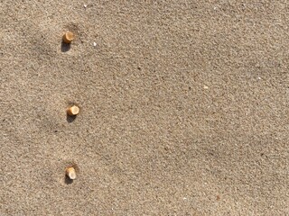 Aufkleber - three cigarette butts arranged as bullet points in sand on beach