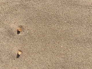 Aufkleber - two cigarette butts arranged as bullet points in sand on beach