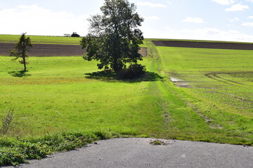 Poster - grüne Eifel im Herbst