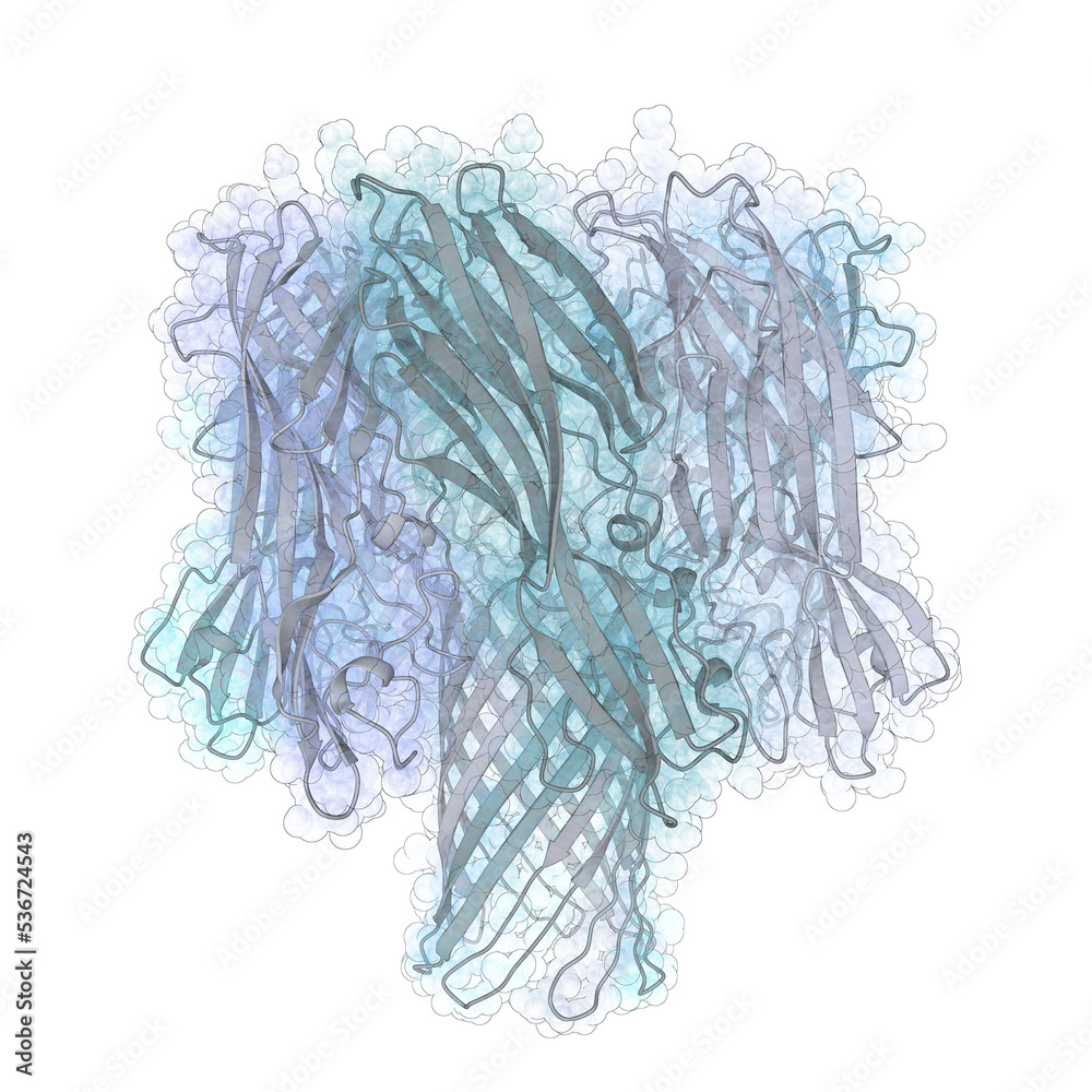 3D structure of a DNA sequencing nanopore protein - alpha-hemolysin ...