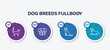 infographic element template with dog breeds fullbody outline icons such as bengal cat, dog moustache, yorkshire terrier, null vector.