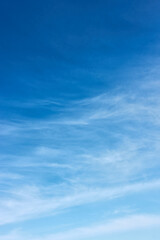 Wall Mural - blue sky with white fleecy clouds