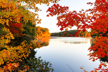 Wall Mural - Beautiful New England Fall Foliage with water reflections at sunrise , Boston Massachusetts.