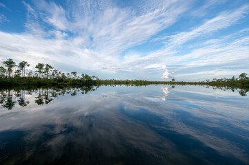 Wall Mural - Summer cloudscape over Pine Glades Lake in Everglades National Park, Florida.