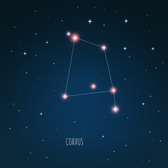Wall Mural - constellation corvus on the background of starry sky. constellation scheme collection vector illustr