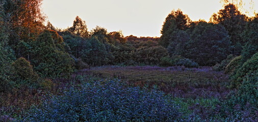 Poster - West European natural landscape at autumn evening