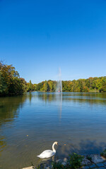 Canvas Print - Kölner Stadtwald