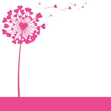 Pink Dandelion Flower With Heart Shape Flying Seeds, Vector Illustration.