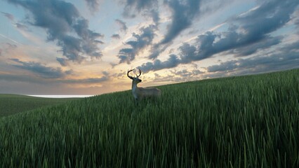 Poster - deer in the field 3d render