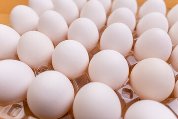 Poster - Pack of the white chicken egg