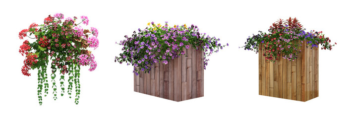 decorative flower in a pot isolate on a transparent background, 3D illustration, cg render