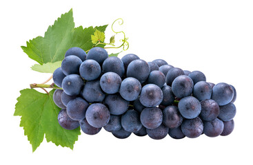 Wall Mural - purple grape on white background, kyoho grape with leaves on white png file.