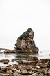 Oregon coast rock