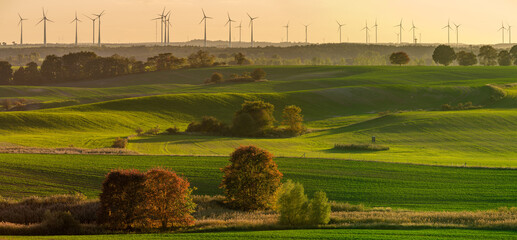 Wall Mural - panorama from green fields and autumn trees