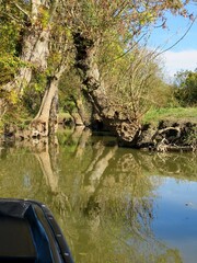 Sticker - Marais poitevin