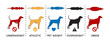 Dog Weight Illustration flat, editable stroke and color fill.