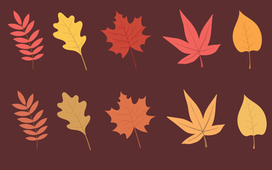 Wall Mural - Set of colorful autumn leaves. Vector illustration.