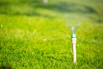 Wall Mural - Sprinkler for automatic lawn watering. Lawn cultivation and care, garden irrigation devices.