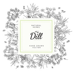 Wall Mural - Dill herbs and spices badge for packs or label sketch vector illustration.