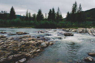 Wall Mural - mountain river between sheer cliffs . blue clear water of the river. Young green leaves of trees