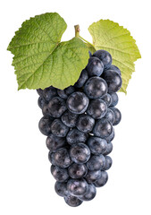 Wall Mural - Black Wine grape with leaves on white. Kyoho Grape isolated on white PNG file.