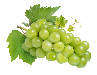 Wall Mural - shine muscat grape isolated on white background, green grape with leaves on white png file.