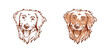 Illustration of smiley dog head golden retriever hand-drawn vector