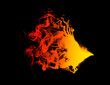 Silhouette of a flying raven with spread wings in beautiful flames, isolated on a black background. Silhouette of a flying raven on fire. Big large size.