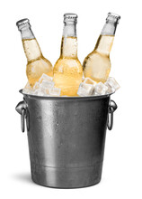 Beer Bottles In Bucket With Ice Cubes Isolated On White