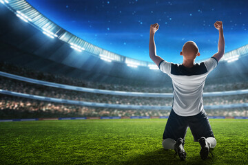 Wall Mural - Soccer player celebration in the stadium