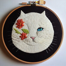 Incredible Embroidery Kitty,cat, Hawk